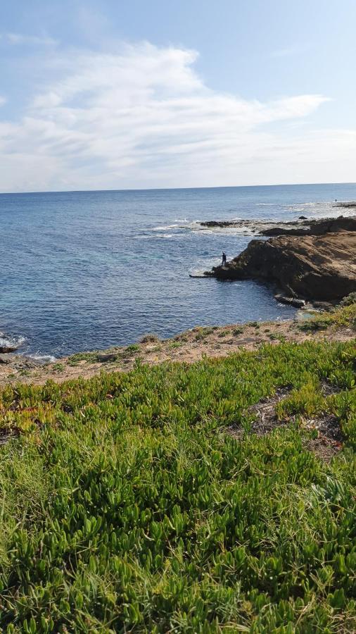 Sunny Apartament Near La Mata Beach تورّيفيِخا المظهر الخارجي الصورة