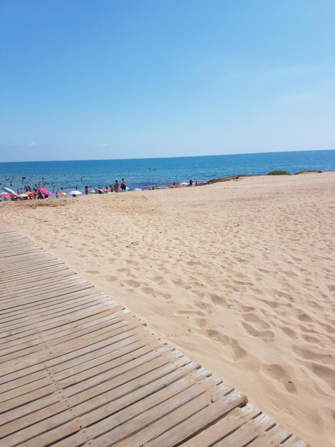Sunny Apartament Near La Mata Beach تورّيفيِخا المظهر الخارجي الصورة